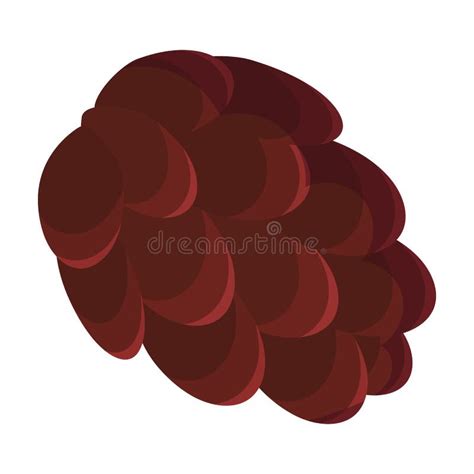 Pinecone Cartoon White Background Stock Illustrations Pinecone