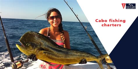 Cabo San Lucas Fishing Best Fish Species To Catch In September 2021