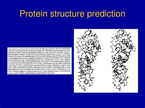 PPT - Protein structure prediction PowerPoint Presentation, free ...