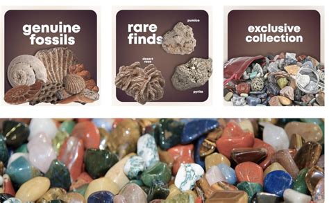 Rock Collection For Kids Includes 250 Bulk Rocks