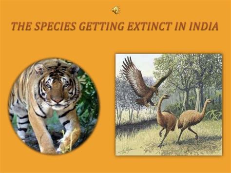 Extinct Species India