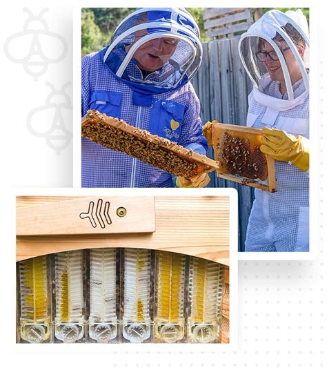 Beekeeping Course Melbourne - Flow Hive Beekeeping Workshop