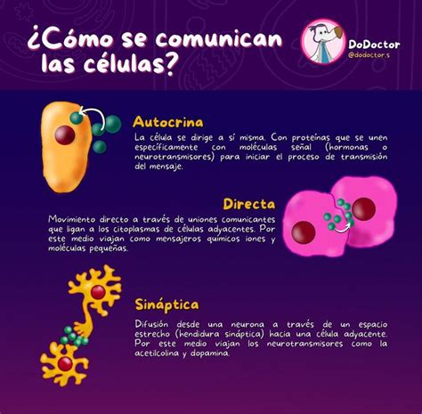 Comunicación Celular DoDoctor uDocz