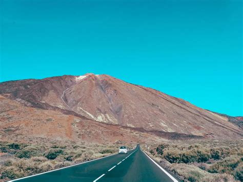 Best Things to Do in Costa Adeje, Tenerife - merry-go-round. slowly