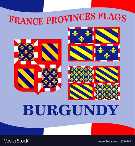 Flag french province burgundy Royalty Free Vector Image