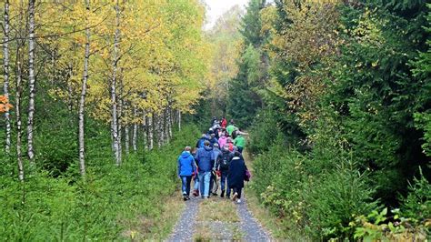 Spannende Grenzwanderung entlang des Grünen Bandes bei Ellrich