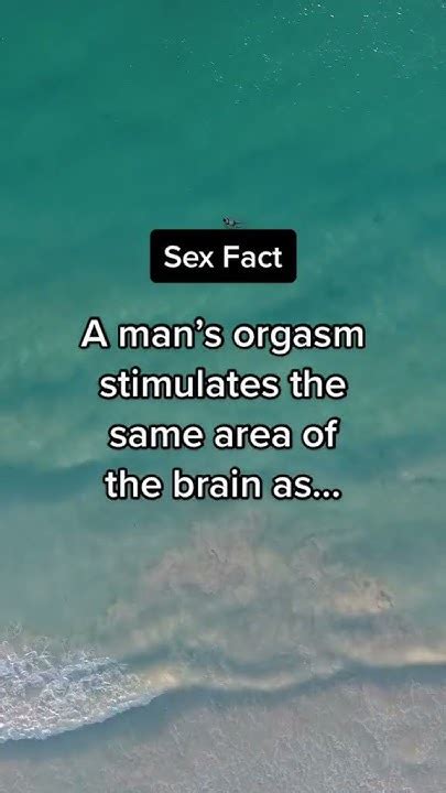 Sex Fact Youtube