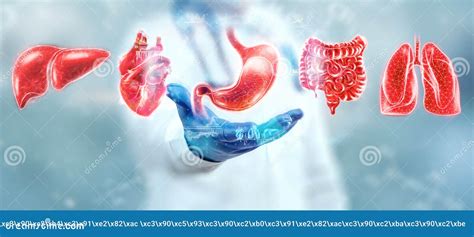 Concepto De Tratamiento De Rganos Internos Humanos El M Dico Muestra