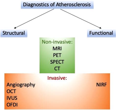 Frontiers Diagnostics Of Atherosclerosis Overview Of The Existing