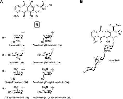 A Chemical Structures Of Doxorubicin 1a And Derivatives 1b 2b