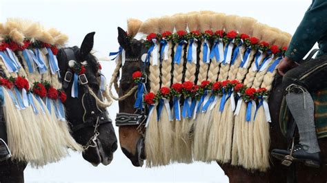 Traunsteiner Pferde Beim Traditionellen St Georgi Ritt Am Ostermontag