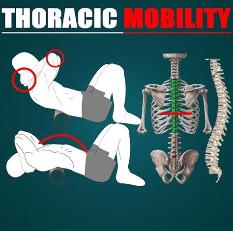 THORACIC MOBILITY | GUIDE