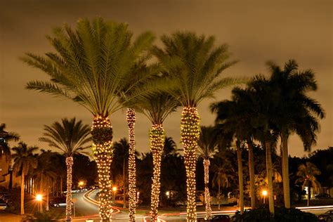 Top 5 Places To Visit In Florida During Christmas Season - Christmas Everyday Club