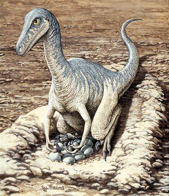 Are birds dinosaurs? New evidence muddies the picture