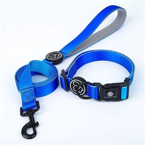 Kit Laisse Et Collier Pour Chiens Collection Rainbow Everking Votre