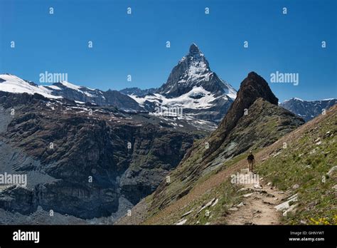 Monte rosa hütte Fotos und Bildmaterial in hoher Auflösung Alamy