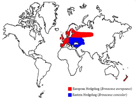 Hedgehog distribution map | Hedgehog, Modern history, Map