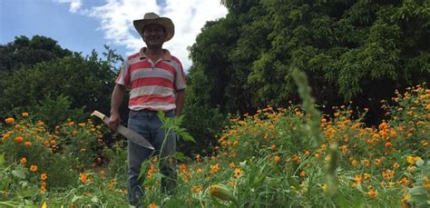 San Pascual Bail N El Cadejo Y El Sombrer N Leyendas Zoques En Chiapas