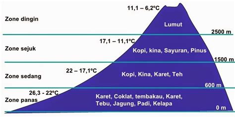 Pembagian Iklim Menurut F Junghuhn