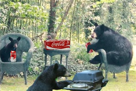 Coke Bear 27 Rcokebears