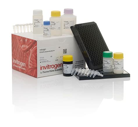 Invitrogen Procartaplex Human High Sensitivity Basic Kit Tests