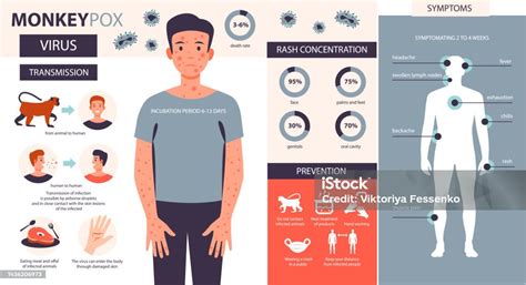 Infografis Cacar Monyet Infeksi Gejala Pencegahan Penyakit Cacar Monyet