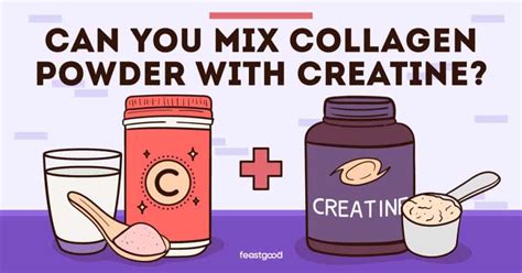 Can You Mix Collagen Powder With Creatine Pros Cons Feastgood