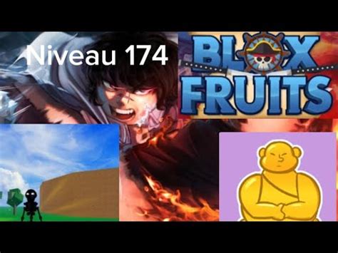 Blox Fruits Je Monte En Niveau Merci Mon Fr Re Youtube