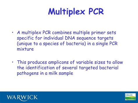 Ppt Development And Use Of A Multiplex Pcr To Detect Common Mastitis