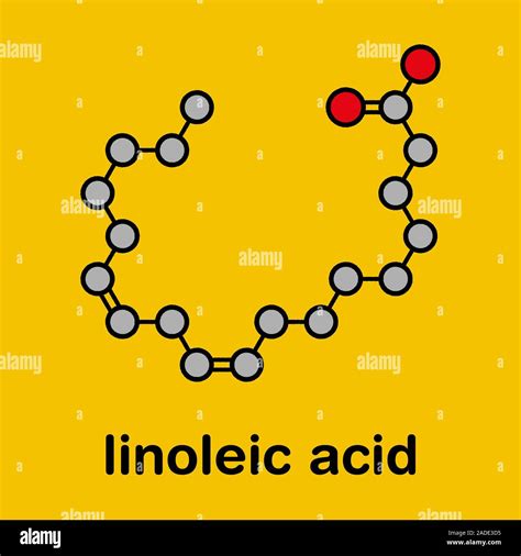 Linoleic Acid LA Molecule Omega 6 Polyunsaturated Fatty Acid