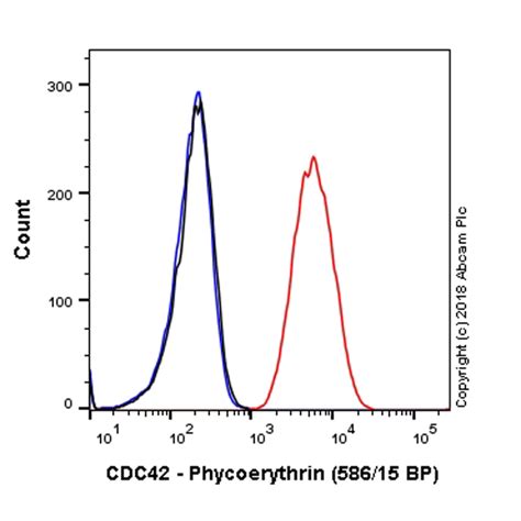 Pe Anti Cdc42 Antibody [epr15620] Ab225346 Abcam