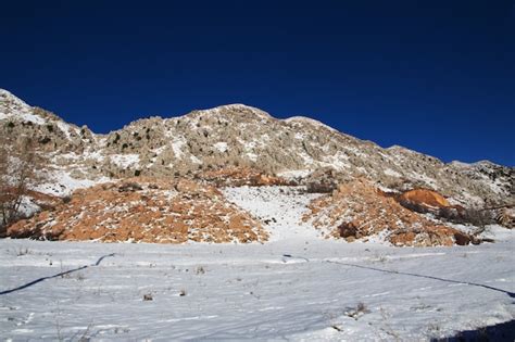 Premium Photo | Snow in mountains of lebanon