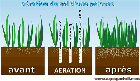 Aération Définition Et Explications