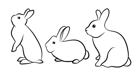 Silhouettes Of Rabbits Isolated On A White Background Black Outline