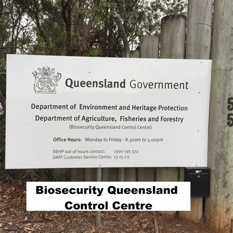 Biosecurity Queensland Incapable Now And In The Future Pam Swepson