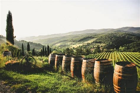 Chianti Wine Tour From Florence