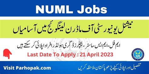 NUML University Islamabad Jobs April 2023