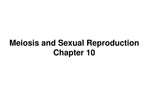 Ppt Meiosis And Sexual Reproduction Chapter 10 Powerpoint Presentation Id9386256