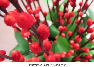 Pussy Pillow Flower Chinese Tradition This Stock Photo 1303430932 Shutterstock