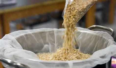 Grain Bill Principles for Creating Homebrew Recipes - Brew Fuse