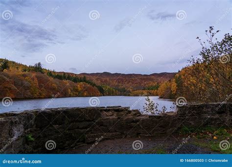 Forest in Autumn Colours at Dawn Near Pitlochry in Perthshire, Scotland ...