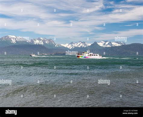 A Tour Boat Returns To Harbor Homer Spit Overlooking Kachemak Bay