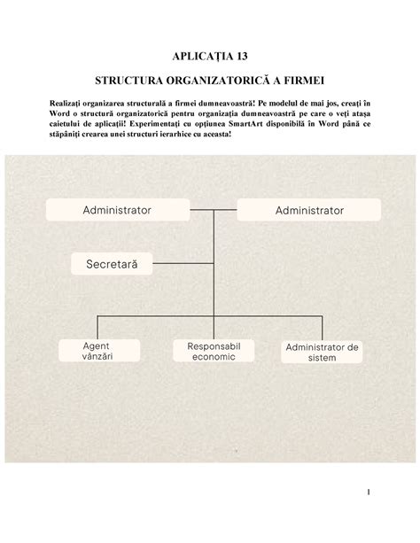 Seminar 5 MAN Project APLICA IA 13 STRUCTURA ORGANIZATORIC A FIRMEI