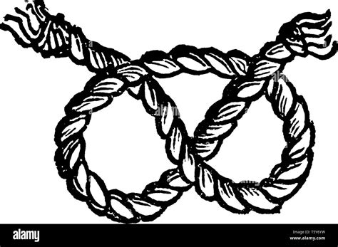 stafford knot   distinctive  looped knot