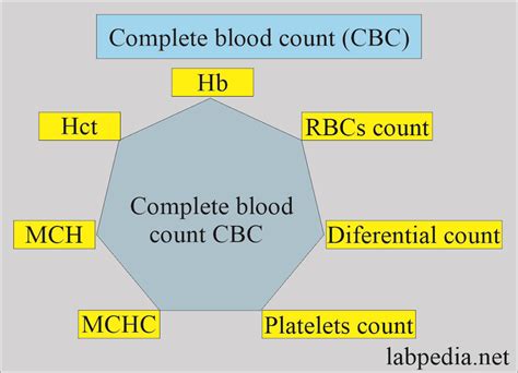 Lab Tests And Their Significance Complete Blood Count CBC Labpedia Net