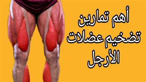 أهم 9 تمارين لتضخيم عضلات الأرجل The 9 Most Important Exercises To Inflate Leg Muscles Youtube