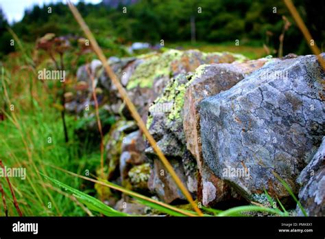 Dry Stone Wall Lichen Hi Res Stock Photography And Images Alamy