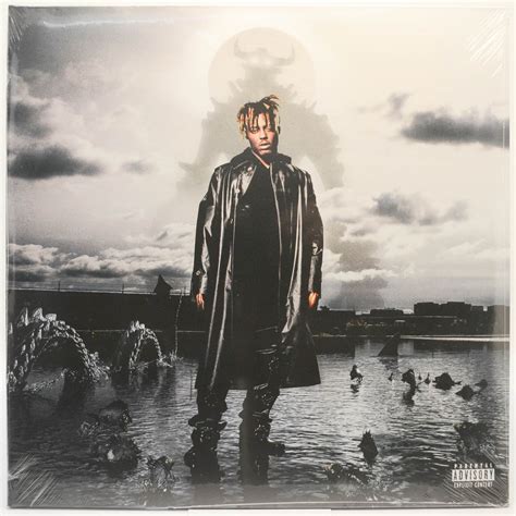 Juice WRLD Fighting Demons 2LP 6480 купить виниловую пластинку с