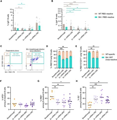 Recall Of Preexisting Cross Reactive B Cell Memory After Omicron Ba1