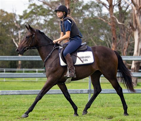 TOO DARN HOT Sires His First Gr1 Winner As FALLEN ANGEL Wins Moyglare Stud Stakes